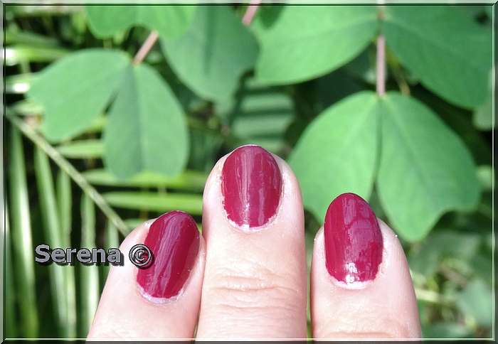 fall-nail-polish-automne-manucure-prune-makeup-line-1