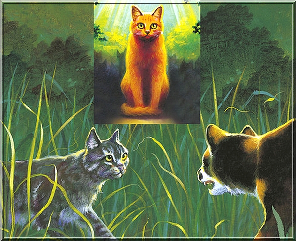 J Ai Lu La Guerre Des Clans Retour A L Etat Sauvage Erin Hunter