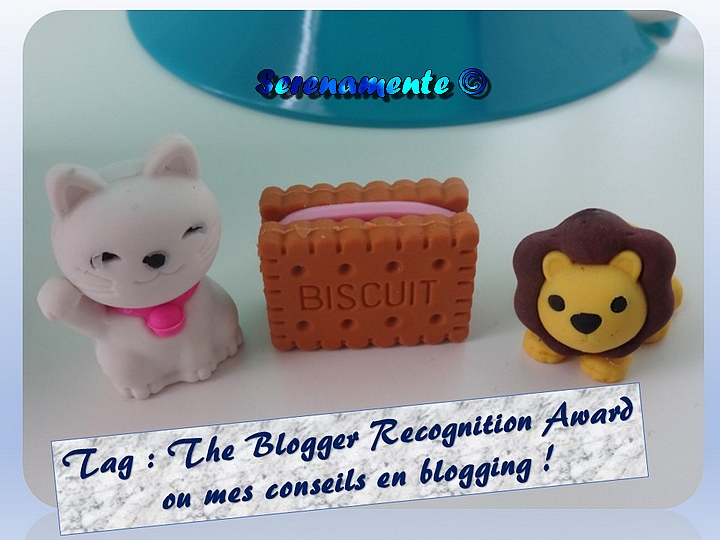 Tag : The Blogger Recognition Award ou mes conseils en blogging !