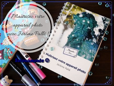 Découvrez mon avis sur le Mémento Photo Maîtrisez votre appareil photo de Jérôme Pallé ! Un livre idéal pour s'améliorer en photo et pour mieux utiliser votre appareil photo numérique !