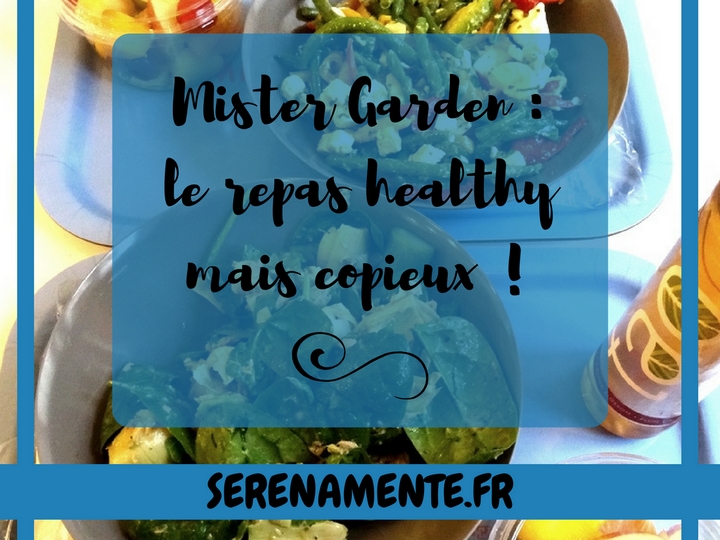 Découvrez vite mon avis sur le salad bar Mister Garden : le repas healthy mais copieux !