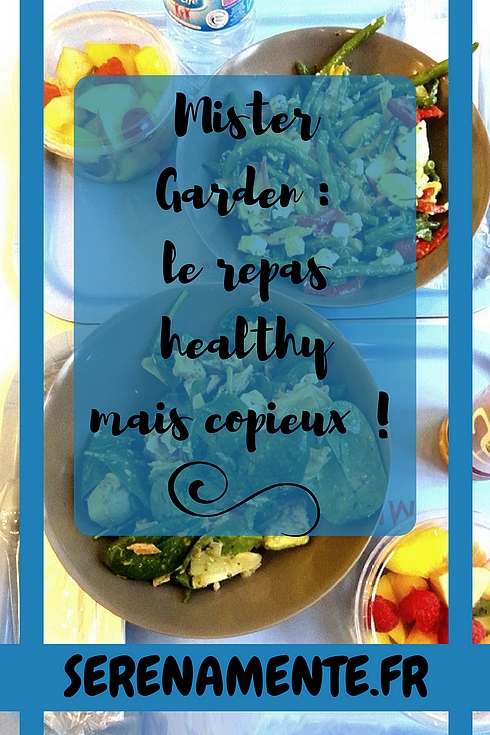 Découvrez vite mon avis sur le salad bar Mister Garden : le repas healthy mais copieux !