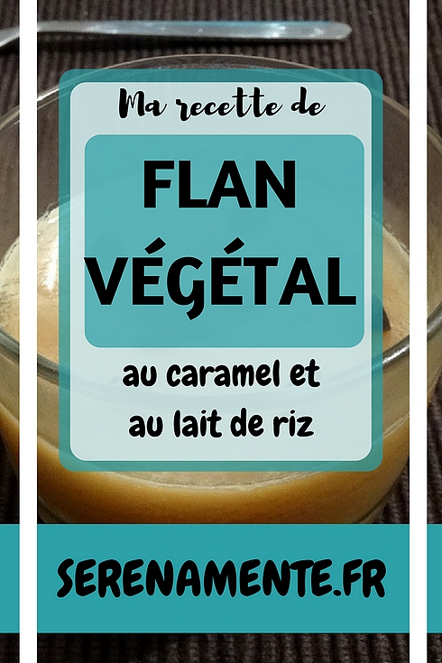 Découvrez vite ma recette de flan vegan et végétal au caramel et au lait de riz ! N'hésitez pas à télécharger la recette au format PDF !
