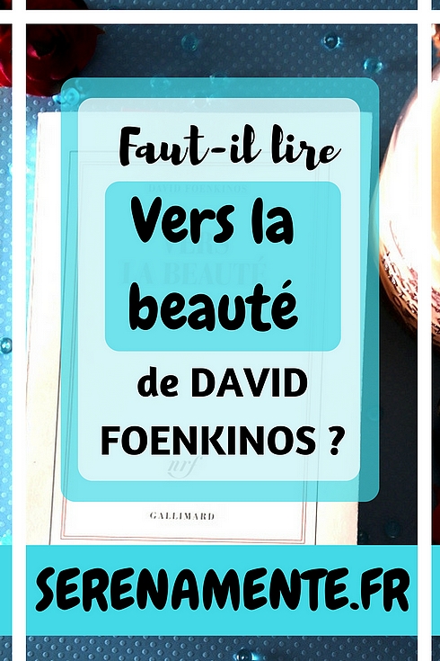 Découvrez mon avis sur le roman Vers la beauté, de David Foenkinos et publié chez Gallimard ! Un roman sur l'art à lire d'urgence !