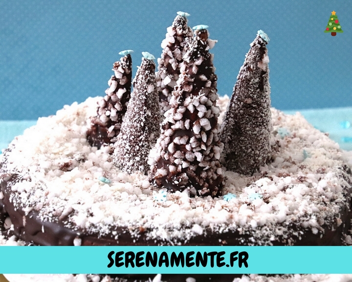Découvrez vite mon gâteau forêt de sapins enneigés spécial recette de Noël vegan ! C\\\\\\\'est une recette très facile à réaliser !